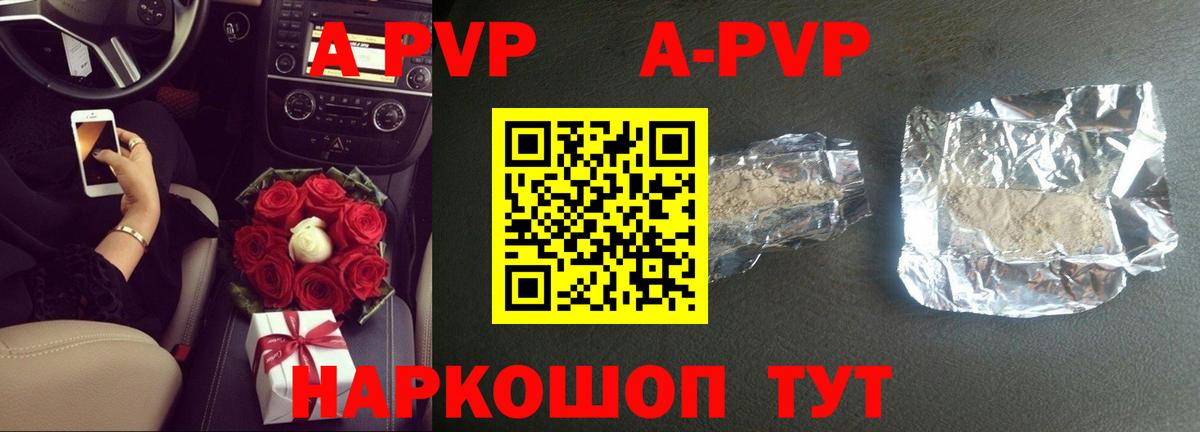 A-PVP СК КРИС Горно-Алтайск
