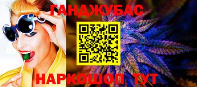стаф Владимир