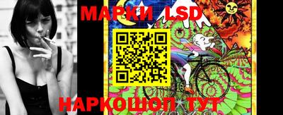 стаф Владимир