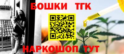 стаф Владимир