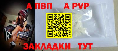 стаф Владимир