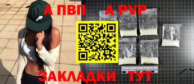 стаф Владимир