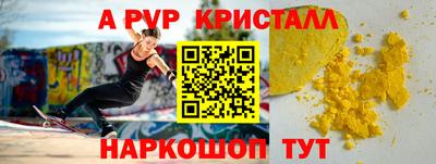 стаф Владимир