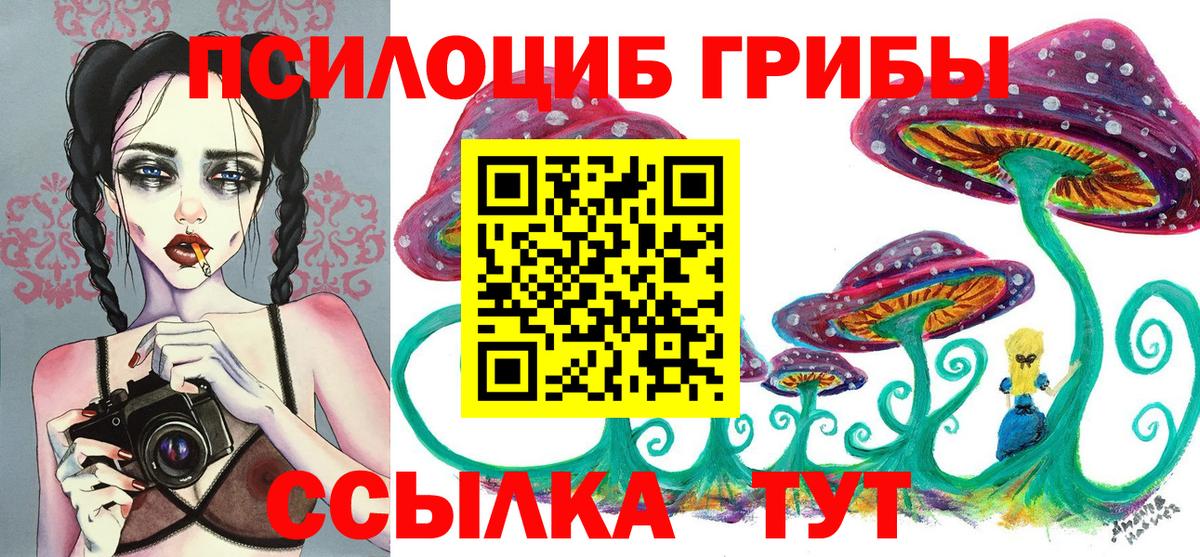 Псилоцибиновые грибы прущие грибы  как найти закладки  Псилоцибиновые грибы Psilocybe  Горно-Алтайск  Вход с VPN 